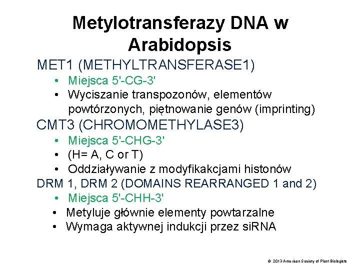 Metylotransferazy DNA w Arabidopsis MET 1 (METHYLTRANSFERASE 1) • Miejsca 5'-CG-3' • Wyciszanie transpozonów,