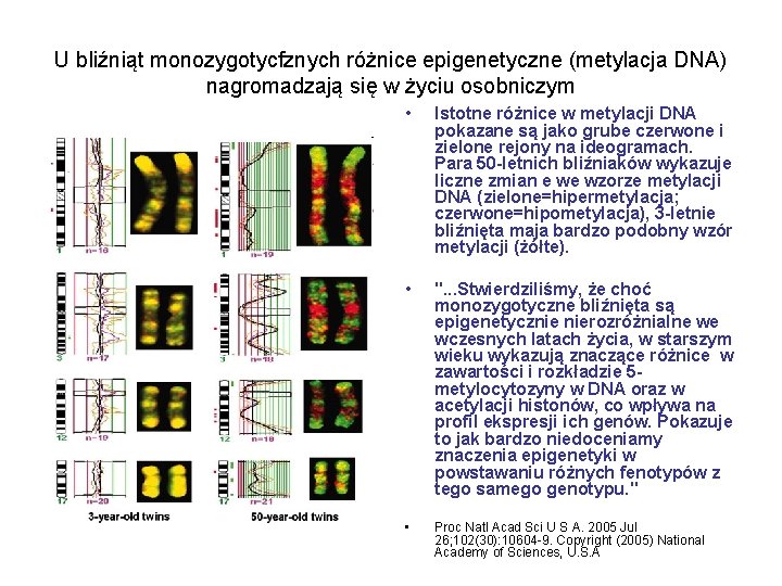 U bliźniąt monozygotycfznych różnice epigenetyczne (metylacja DNA) nagromadzają się w życiu osobniczym • Istotne