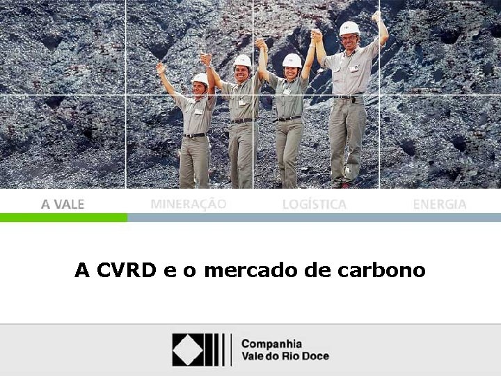 A CVRD e o mercado de carbono 