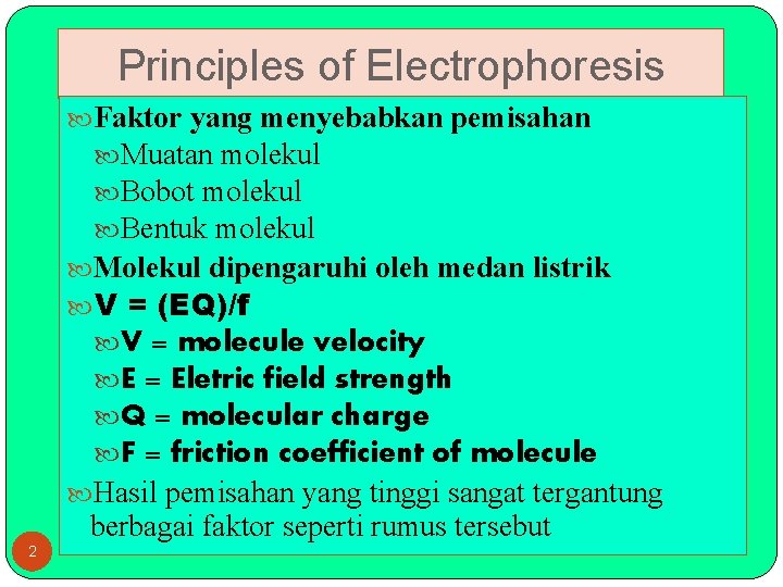 Principles of Electrophoresis Faktor yang menyebabkan pemisahan Muatan molekul Bobot molekul Bentuk molekul Molekul