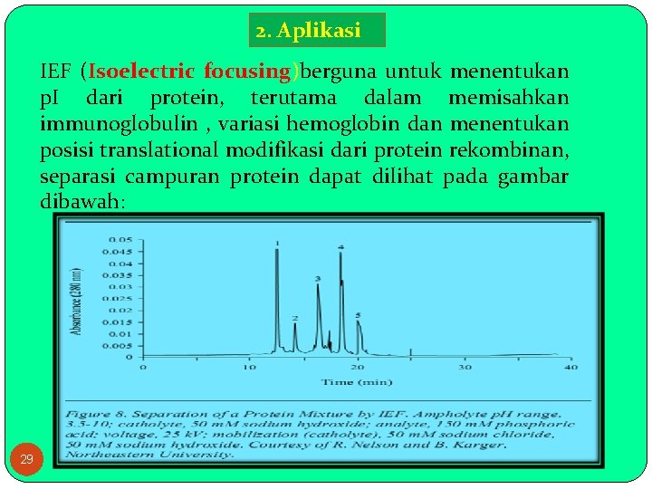 2. Aplikasi IEF (Isoelectric focusing)berguna untuk menentukan p. I dari protein, terutama dalam memisahkan