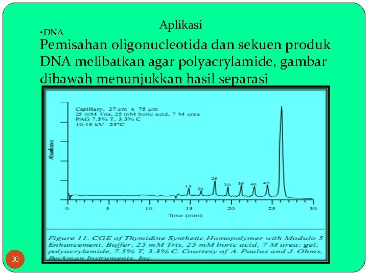  • DNA Aplikasi Pemisahan oligonucleotida dan sekuen produk DNA melibatkan agar polyacrylamide, gambar