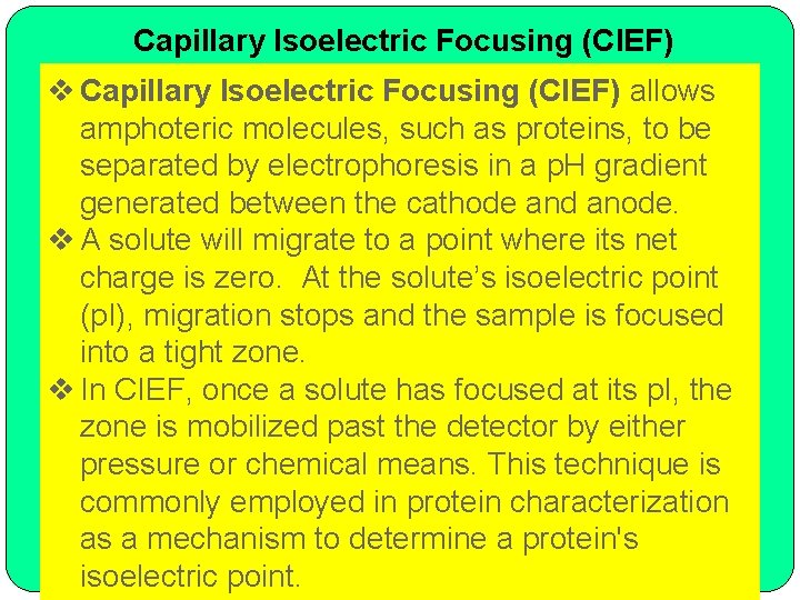 Capillary Isoelectric Focusing (CIEF) v Capillary Isoelectric Focusing (CIEF) allows amphoteric molecules, such as