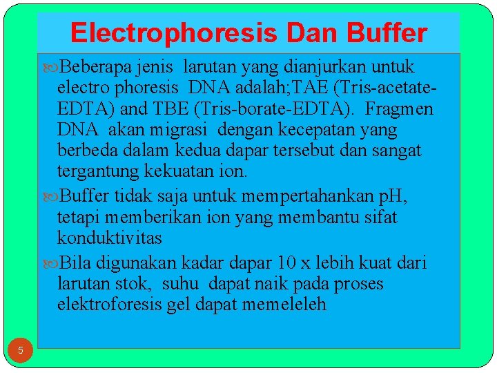 Electrophoresis Dan Buffer Beberapa jenis larutan yang dianjurkan untuk electro phoresis DNA adalah; TAE