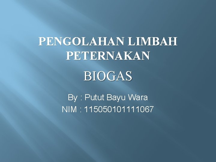 PENGOLAHAN LIMBAH PETERNAKAN BIOGAS By : Putut Bayu Wara NIM : 115050101111067 