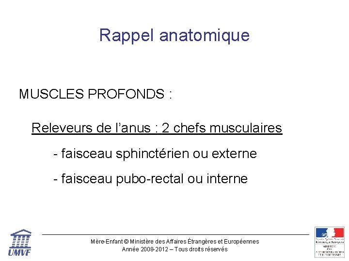Rappel anatomique MUSCLES PROFONDS : Releveurs de l’anus : 2 chefs musculaires - faisceau
