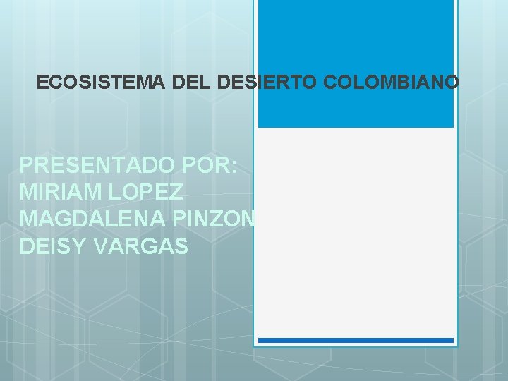 ECOSISTEMA DEL DESIERTO COLOMBIANO PRESENTADO POR: MIRIAM LOPEZ MAGDALENA PINZON DEISY VARGAS 