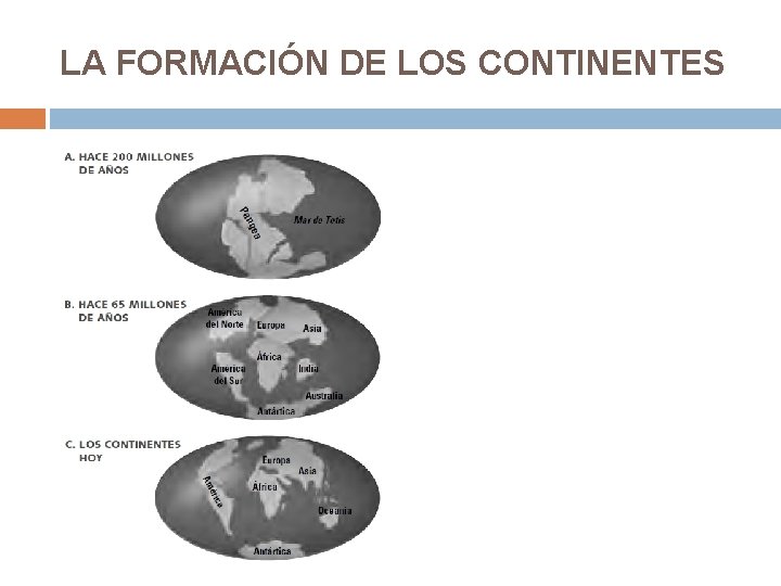 LA FORMACIÓN DE LOS CONTINENTES 