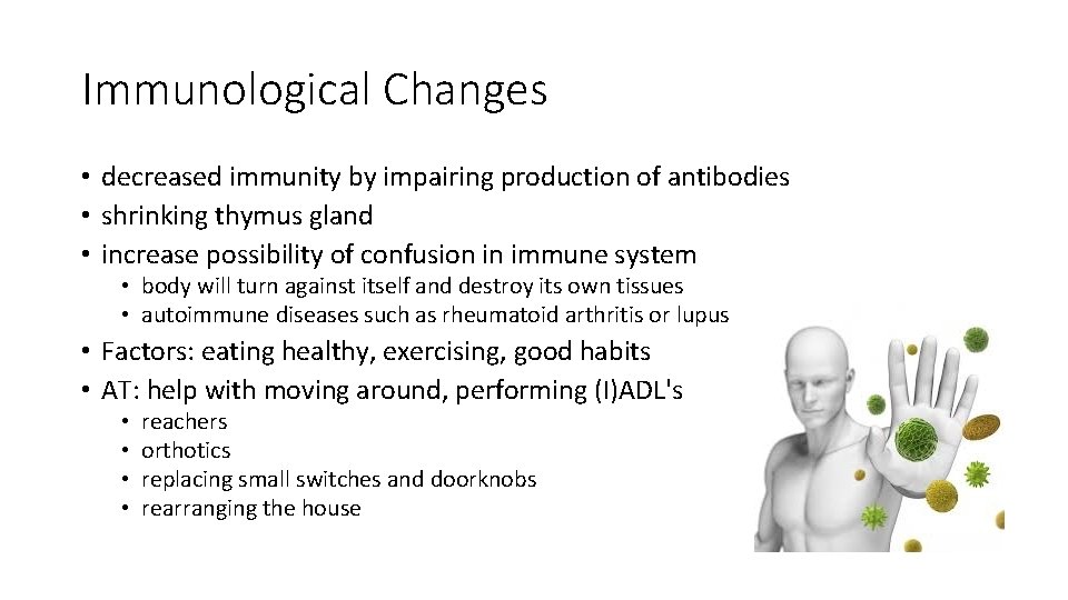 Immunological Changes • decreased immunity by impairing production of antibodies • shrinking thymus gland