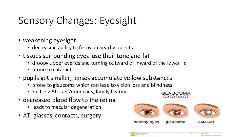 Sensory Changes: Eyesight • weakening eyesight • decreasing ability to focus on nearby objects