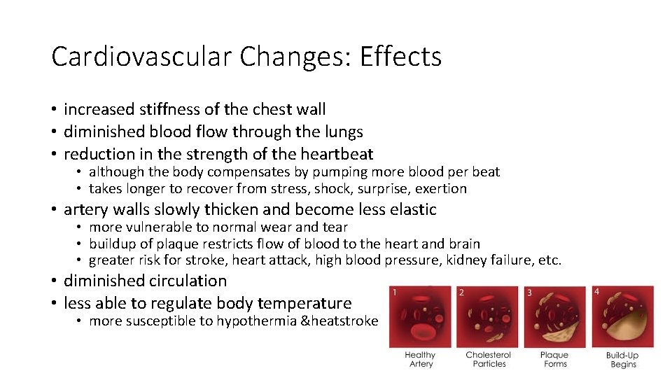 Cardiovascular Changes: Effects • increased stiffness of the chest wall • diminished blood flow Cardiovascular Changes: Effects • increased stiffness of the chest wall • diminished blood flow