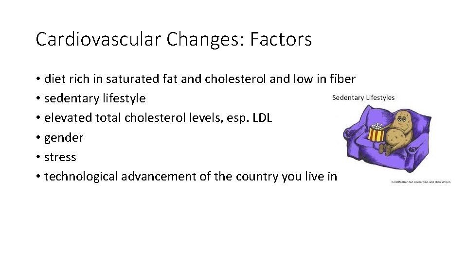 Cardiovascular Changes: Factors • diet rich in saturated fat and cholesterol and low in