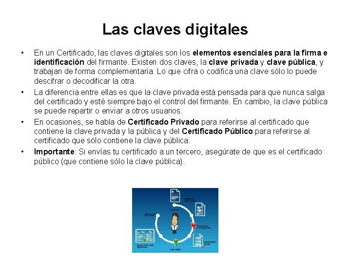 Las claves digitales • • En un Certificado, las claves digitales son los elementos Las claves digitales • • En un Certificado, las claves digitales son los elementos