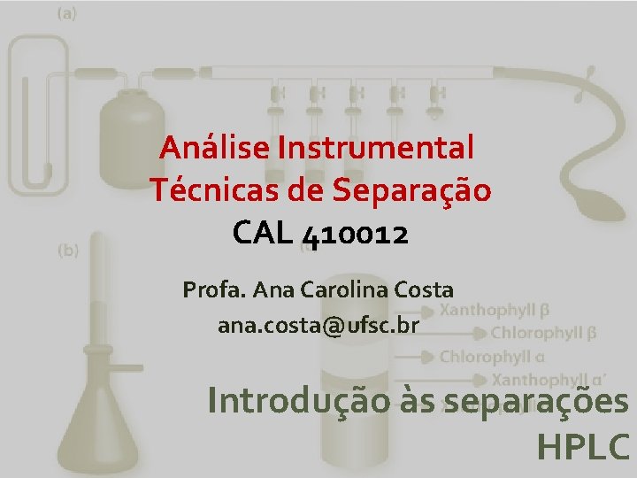 Análise Instrumental Técnicas de Separação CAL 410012 Profa. Ana Carolina Costa ana. costa@ufsc. br