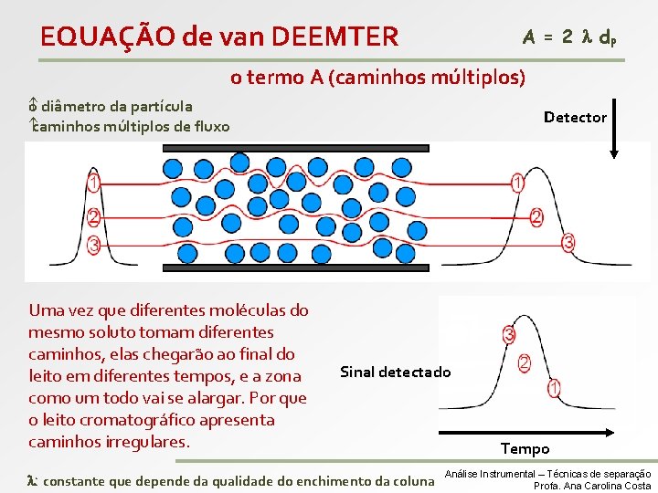 EQUAÇÃO de van DEEMTER A = 2 l d. P o termo A (caminhos