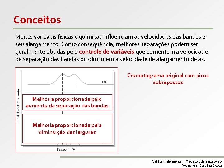 Conceitos Muitas variáveis físicas e químicas influenciam as velocidades das bandas e seu alargamento.