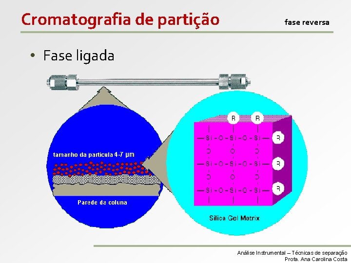 Cromatografia de partição fase reversa • Fase ligada Análise Instrumental – Técnicas de separação