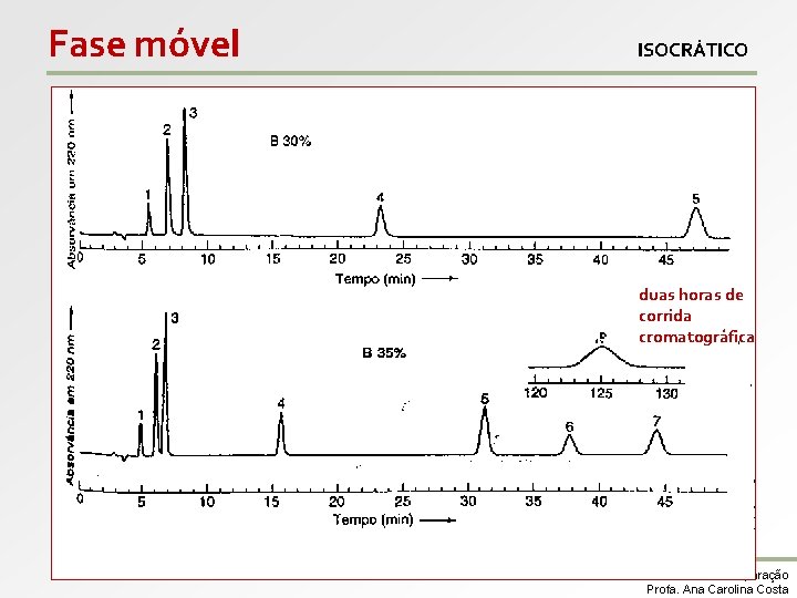 Fase móvel ISOCRÁTICO duas horas de corrida cromatográfica Análise Instrumental – Técnicas de separação