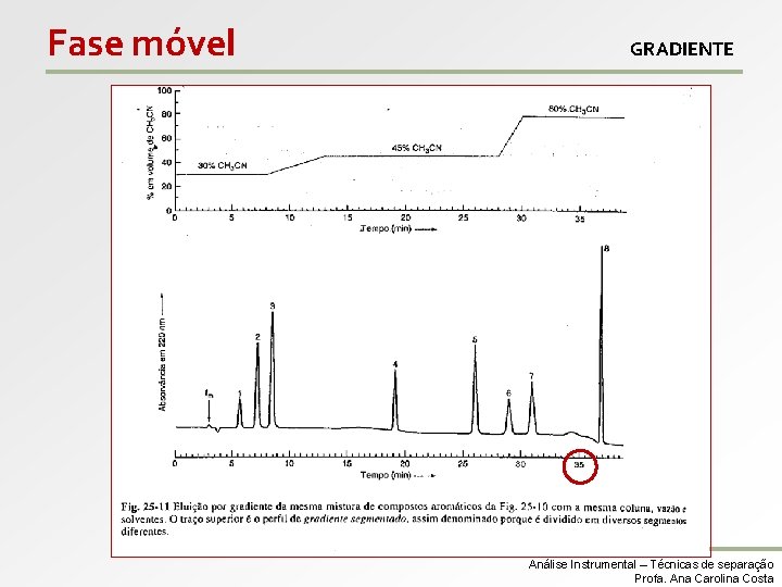 Fase móvel GRADIENTE Análise Instrumental – Técnicas de separação Profa. Ana Carolina Costa 