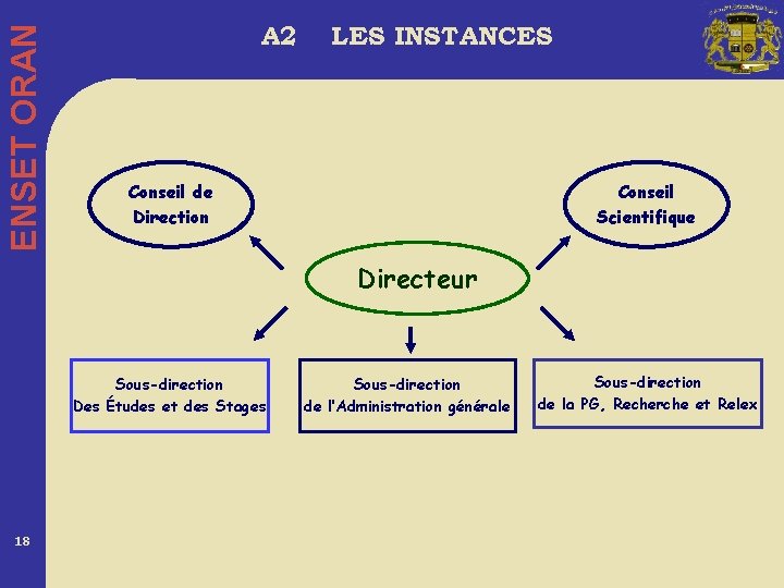 ENSET ORAN A 2 LES INSTANCES Conseil de Direction Conseil Scientifique Directeur Sous-direction Des