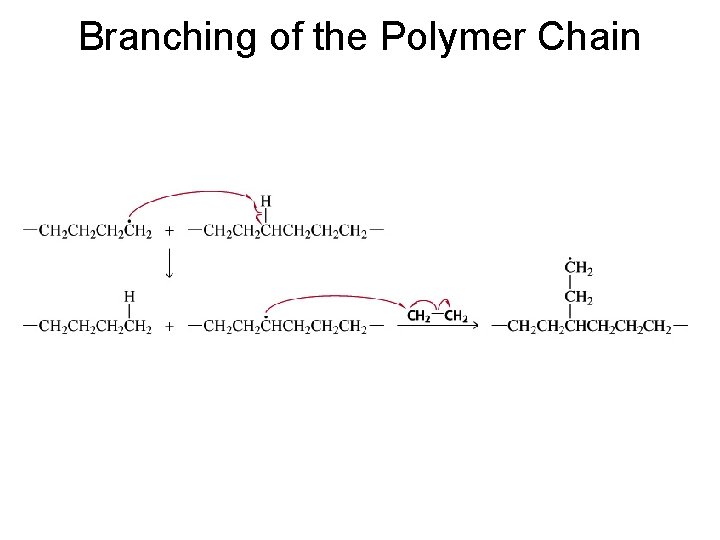 Branching of the Polymer Chain 