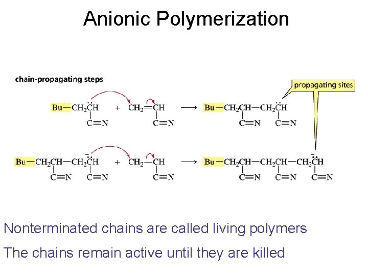 Anionic Polymerization Nonterminated chains are called living polymers The chains remain active until they