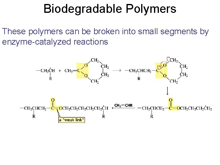 Biodegradable Polymers These polymers can be broken into small segments by enzyme-catalyzed reactions 