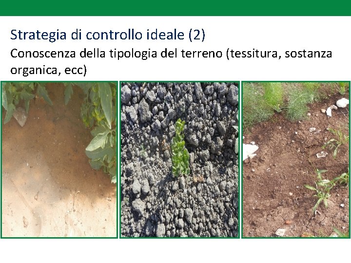 Strategia di controllo ideale (2) Conoscenza della tipologia del terreno (tessitura, sostanza organica, ecc)