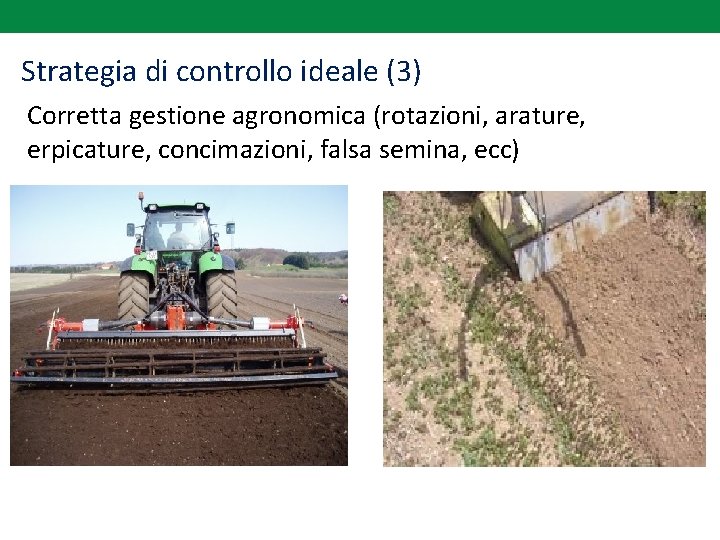 Strategia di controllo ideale (3) Corretta gestione agronomica (rotazioni, arature, erpicature, concimazioni, falsa semina,