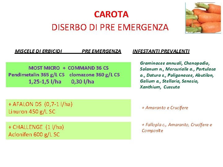 CAROTA DISERBO DI PRE EMERGENZA MISCELE DI ERBICIDI PRE EMERGENZA MOST MICRO + COMMAND