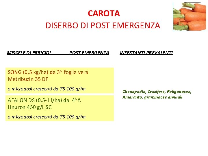 CAROTA DISERBO DI POST EMERGENZA MISCELE DI ERBICIDI POST EMERGENZA INFESTANTI PREVALENTI SONG (0,