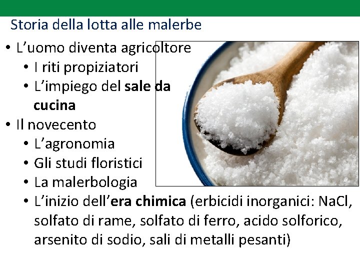 Storia della lotta alle malerbe • L’uomo diventa agricoltore • I riti propiziatori •