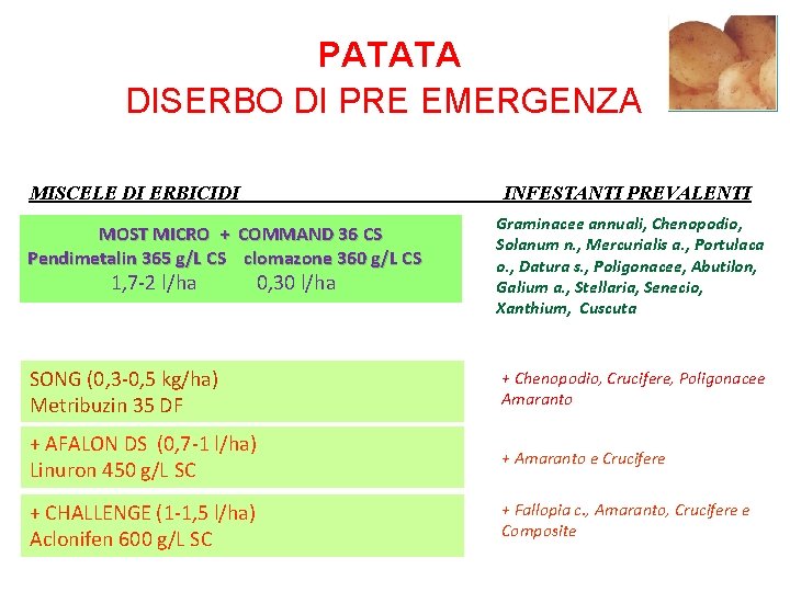 PATATA DISERBO DI PRE EMERGENZA MISCELE DI ERBICIDI INFESTANTI PREVALENTI MOST MICRO + COMMAND