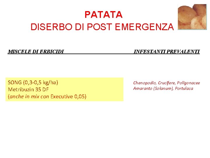 PATATA DISERBO DI POST EMERGENZA MISCELE DI ERBICIDI INFESTANTI PREVALENTI SONG (0, 3 -0,