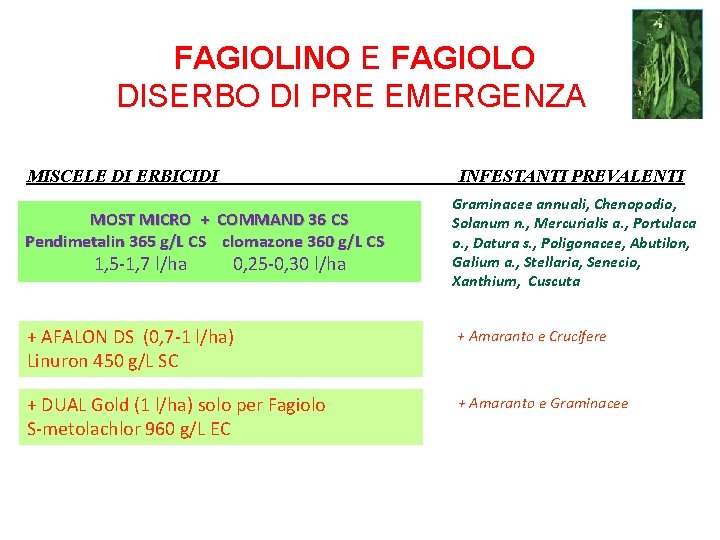 FAGIOLINO E FAGIOLO DISERBO DI PRE EMERGENZA MISCELE DI ERBICIDI INFESTANTI PREVALENTI MOST MICRO