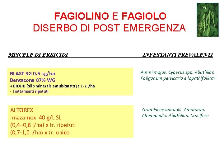 FAGIOLINO E FAGIOLO DISERBO DI POST EMERGENZA MISCELE DI ERBICIDI BLAST SG 0, 5