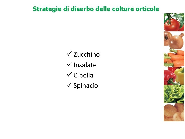 Strategie di diserbo delle colture orticole ü Zucchino ü Insalate ü Cipolla ü Spinacio