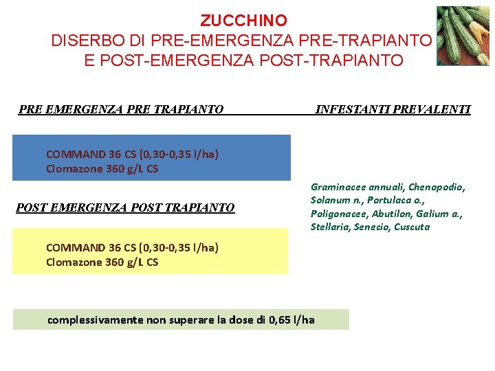 ZUCCHINO DISERBO DI PRE-EMERGENZA PRE-TRAPIANTO E POST-EMERGENZA POST-TRAPIANTO PRE EMERGENZA PRE TRAPIANTO INFESTANTI PREVALENTI