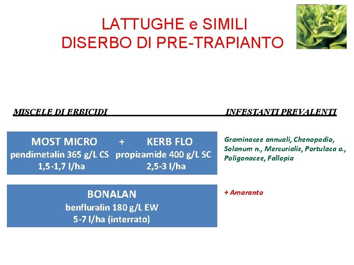 LATTUGHE e SIMILI DISERBO DI PRE-TRAPIANTO MISCELE DI ERBICIDI MOST MICRO INFESTANTI PREVALENTI +