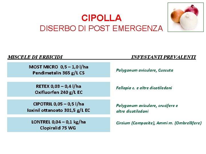 CIPOLLA DISERBO DI POST EMERGENZA MISCELE DI ERBICIDI INFESTANTI PREVALENTI MOST MICRO 0, 5