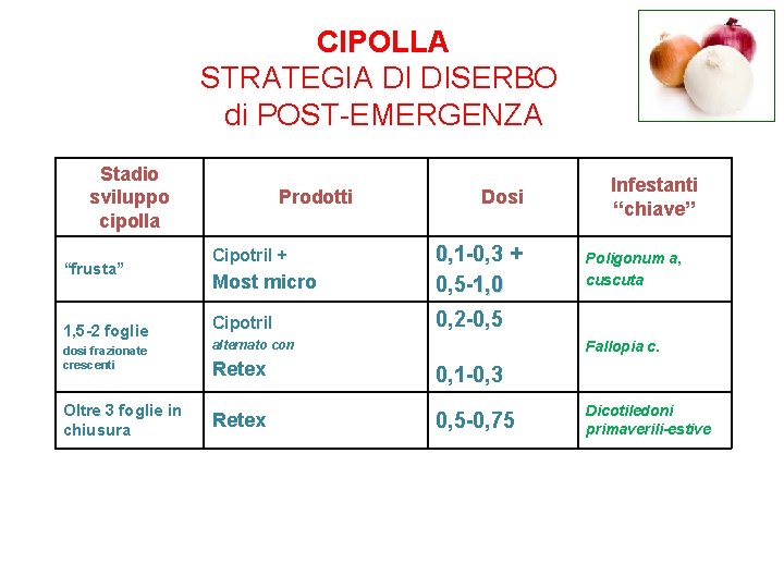 CIPOLLA STRATEGIA DI DISERBO di POST-EMERGENZA Stadio sviluppo cipolla “frusta” 1, 5 -2 foglie