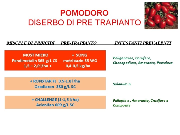 POMODORO DISERBO DI PRE TRAPIANTO MISCELE DI ERBICIDI MOST MICRO Pendimetalin 365 g/L CS