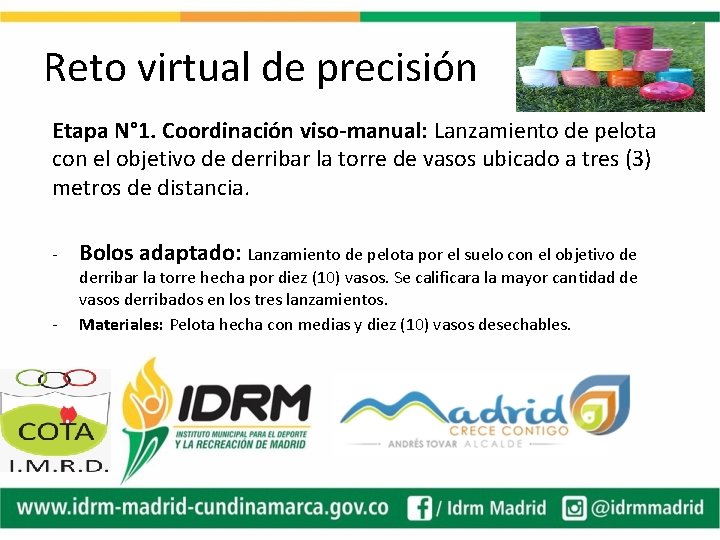 Reto virtual de precisión Etapa N° 1. Coordinación viso-manual: Lanzamiento de pelota con el