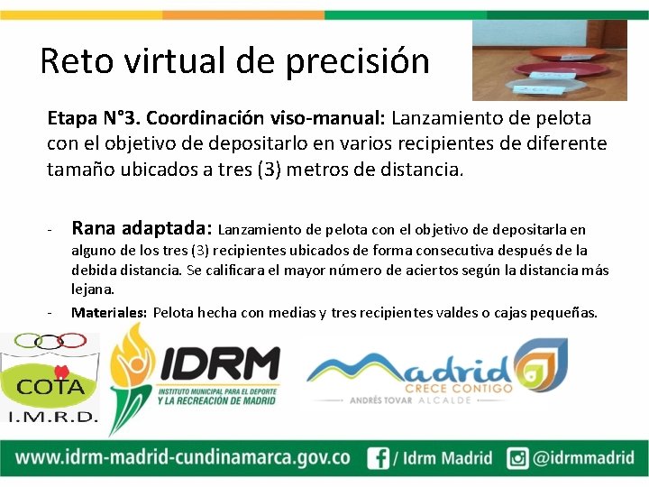 Reto virtual de precisión Etapa N° 3. Coordinación viso-manual: Lanzamiento de pelota con el