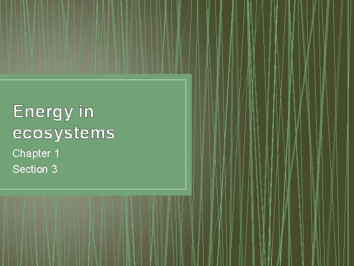 Energy in ecosystems Chapter 1 Section 3 