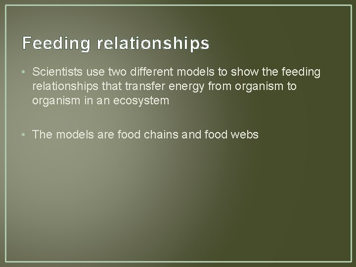Feeding relationships • Scientists use two different models to show the feeding relationships that