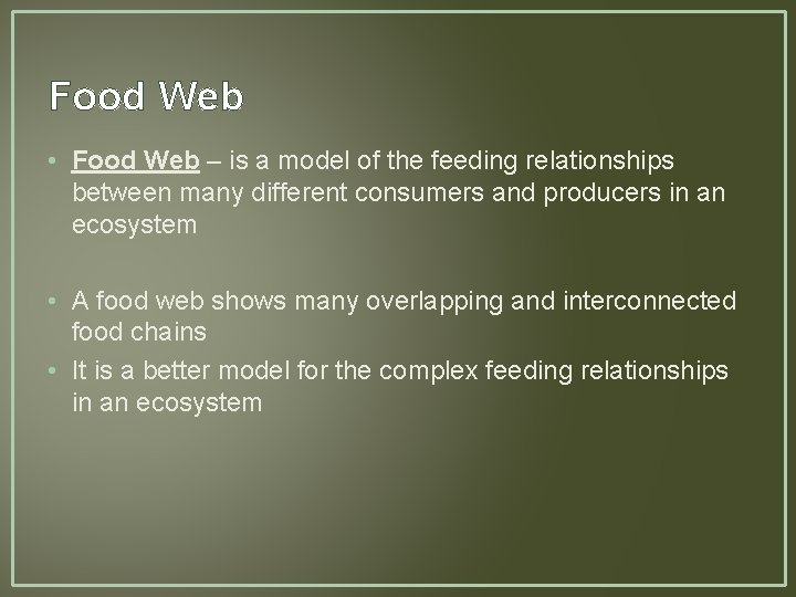 Food Web • Food Web – is a model of the feeding relationships between