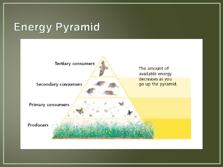 Energy Pyramid 