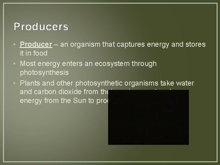 Producers • Producer – an organism that captures energy and stores it in food