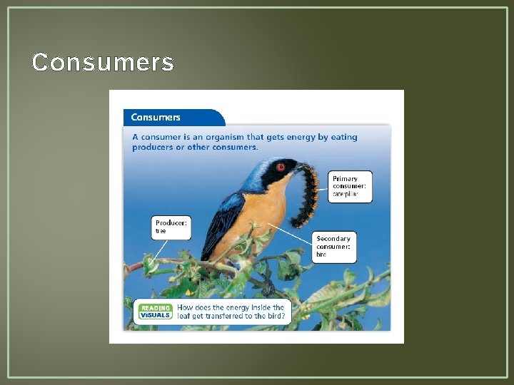 Consumers 
